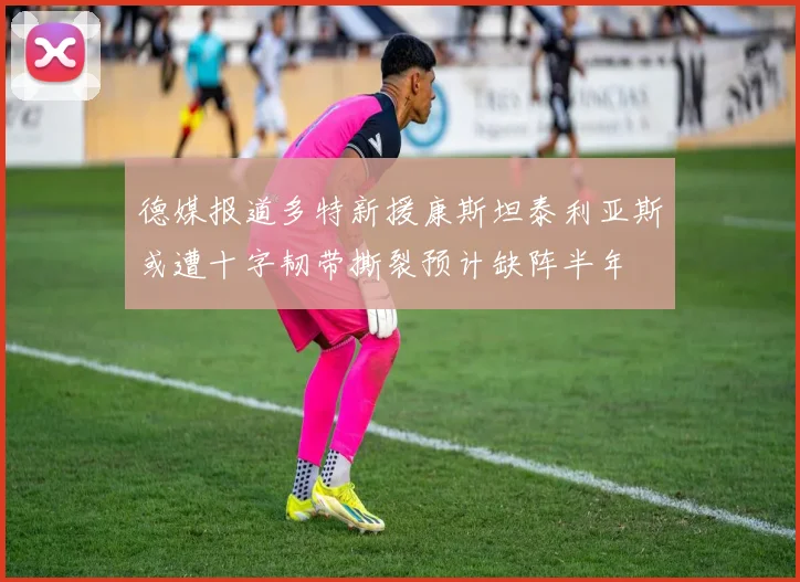 德媒报道多特新援康斯坦泰利亚斯或遭十字韧带撕裂预计缺阵半年