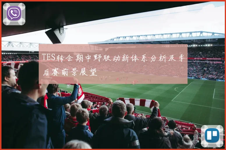 TES转会期中野联动新体系分析及季后赛前景展望